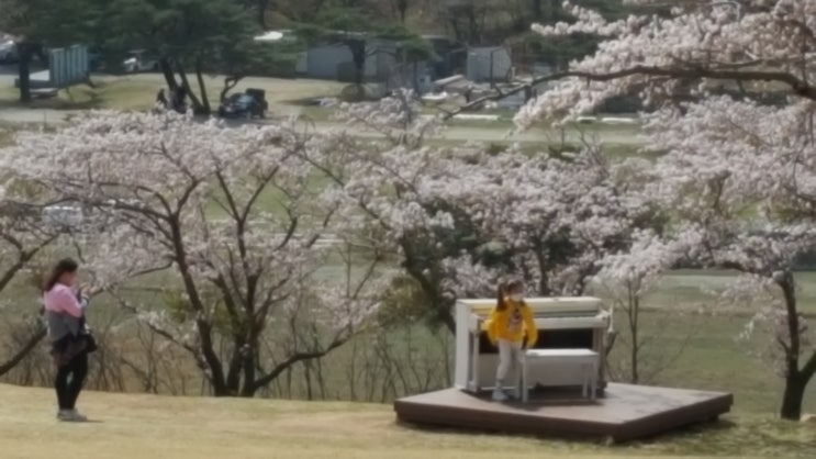  경주 화랑의 언덕
