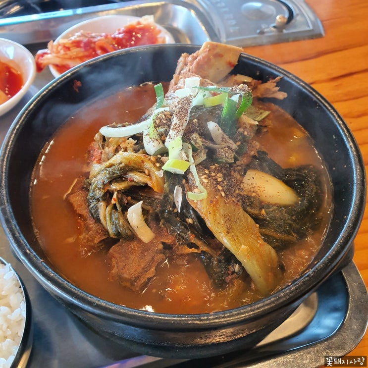  일상 이야기 20220316-0331