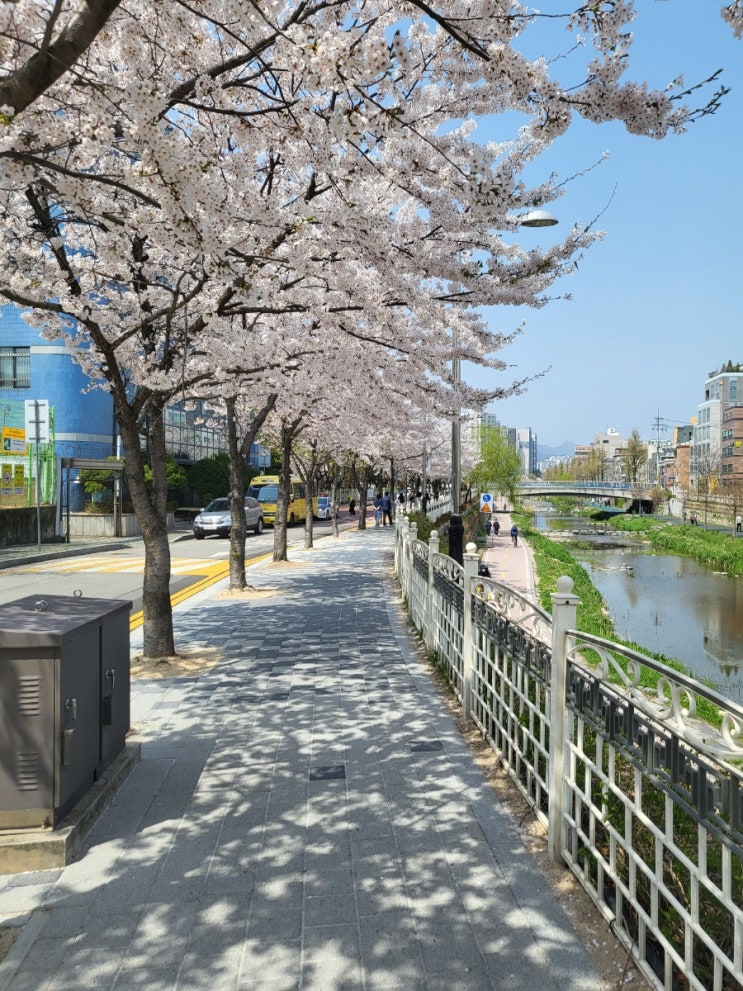  오늘도 걸었다.