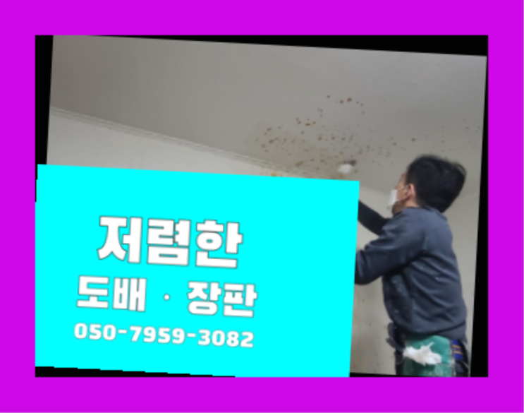 LG지아사랑애 ? 저렴한 도배·장판 시공문의 인생템