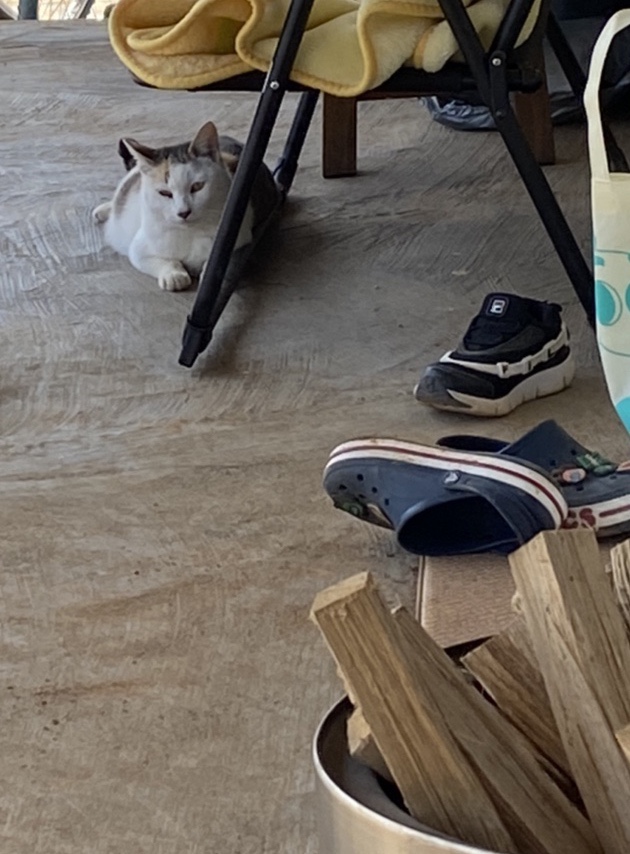  오늘 
