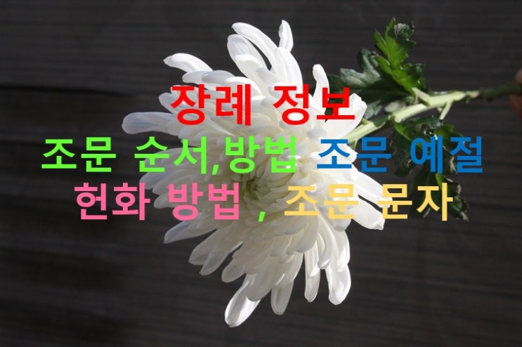 종교별 조문 예절 및 장례 정보 알아보기