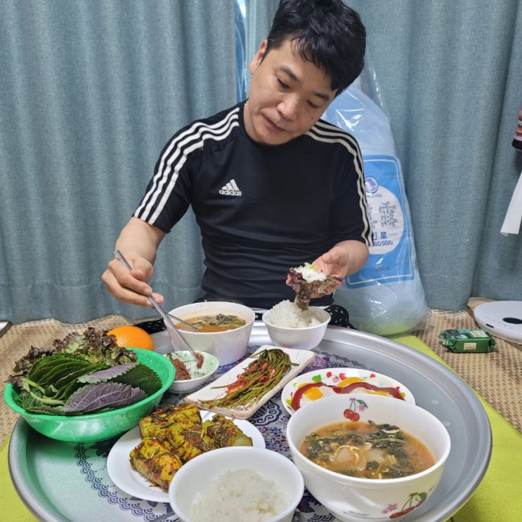  당진 봄나들이 즐거운 실치축제