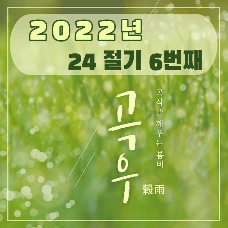 2022년 24절기 : 곡우 뜻 유래 풍습 날짜