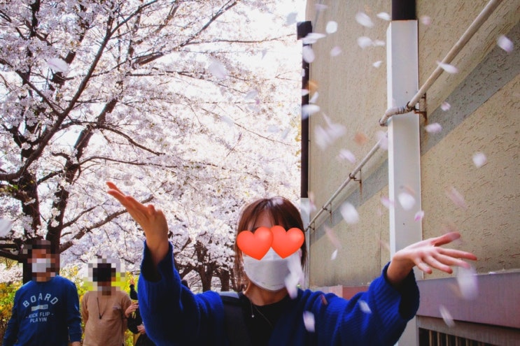 어쩌면 올해 마지막 벚꽃 눈 양재천 카페거리에서̈ 추천 맛집/카페