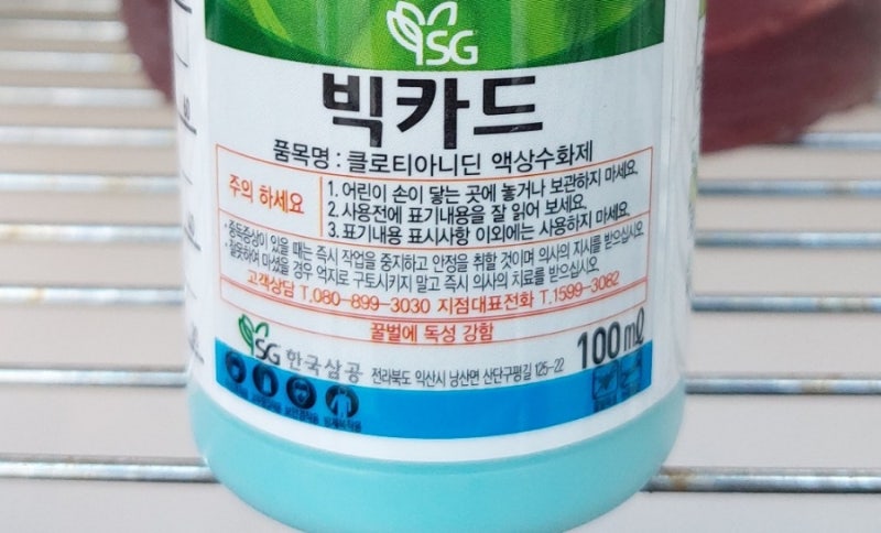 뿌리파리 빅카드 사용법 완전박멸!!