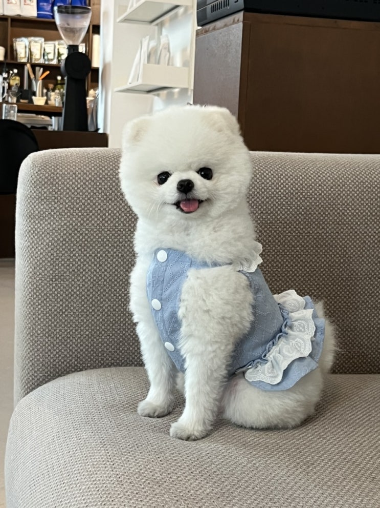  인천,광주,연남의 레오