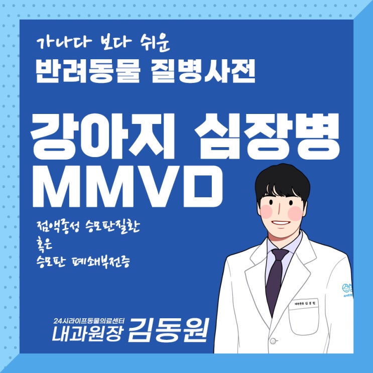 대구강아지심장전문동물병원 : 강아지 심장병 MMVD 강아지 점액종성 승모판질환, 강아지 승모판폐쇄부전증 알아보기