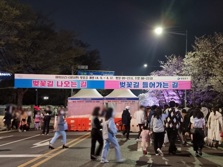  서울 벚꽃 명소 원탑 : 여의도 윤중로