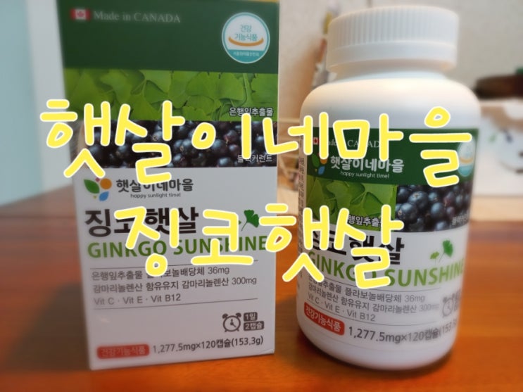  혈액순환에 좋은 영양제 햇살이네 징코햇살