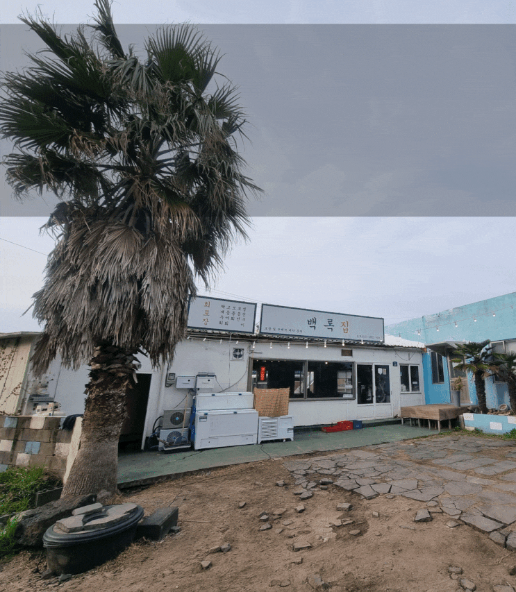  [220405~07] 제주도 여행 첫날은 백록집 제주노포횟집에서 모듬회에 딱새우회랑 고등어회까지 맛있게!