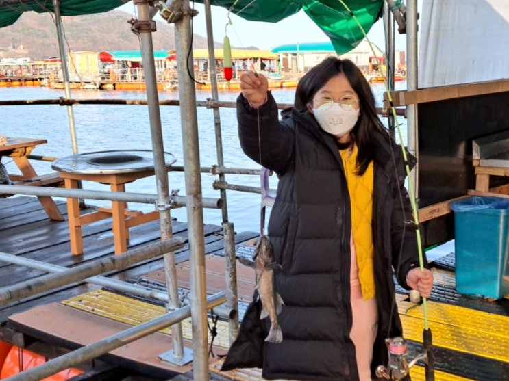  서해바다 충남 서산 당진권 바다 좌대낚시터는 가족낚시터로 유명한 도비도 와따좌대 ~ 우럭낚시 Go Go!!