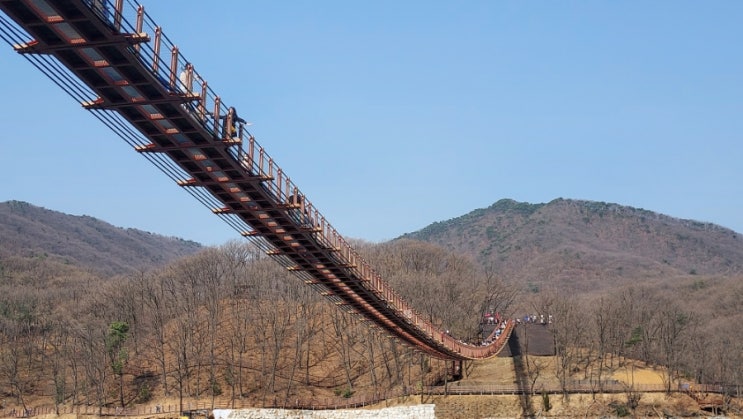  [경기도 가볼만한 곳/파주] 데이트코스ㆍ마장호수 출렁다리ㆍ양주 오랑주리 식물원 카페ㆍ맛집 전라도밥상