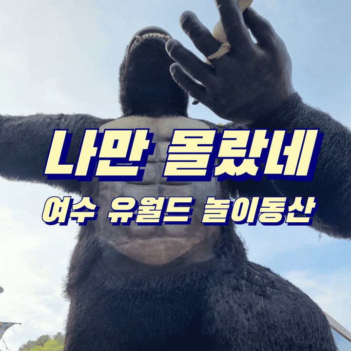  신나는 여수 유월드 루지 테마파크