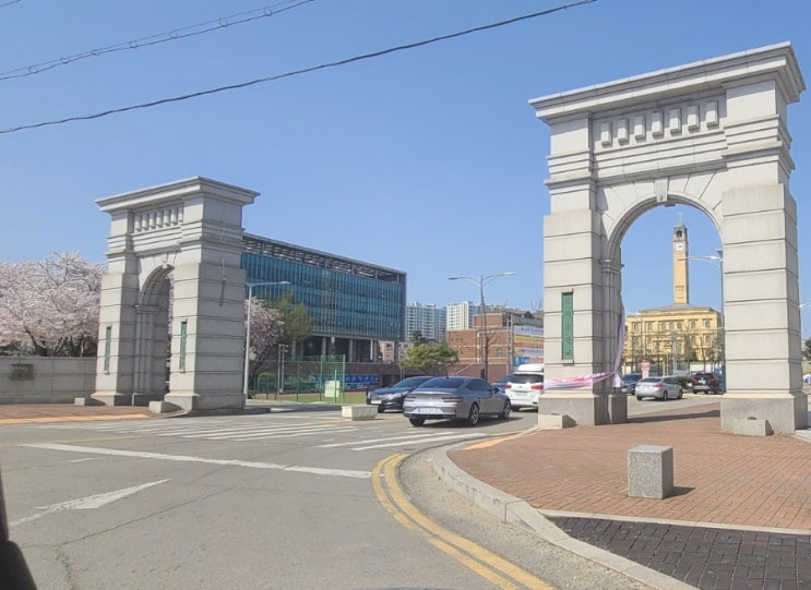  경기도 벚꽃명소 평택대학교 벚꽃길 진위천 벚꽃구경