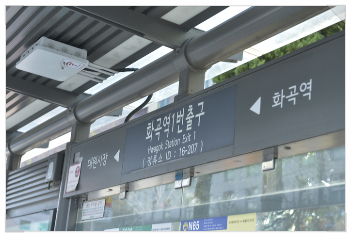  강서구 강아지 분양 / 화곡동 애견분양 : 내품안의반려견 강서점 방문