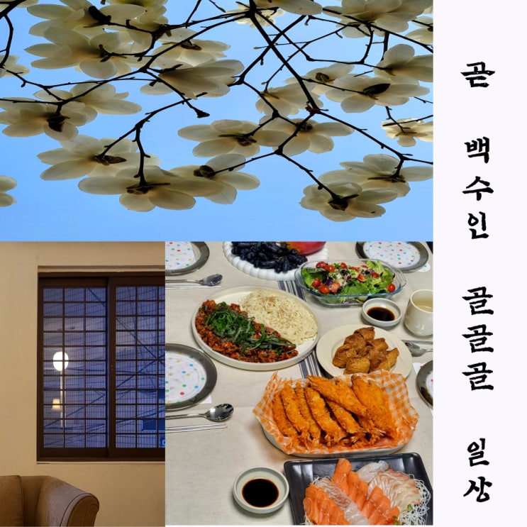 골골골 노비는 음식으로 힘을 내는 일상