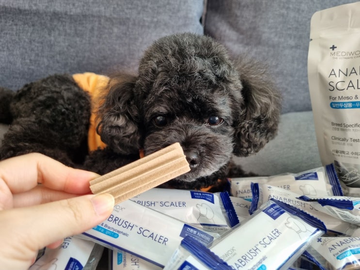  강아지덴탈껌 아나브러쉬 입냄새 치석제거 해볼까
