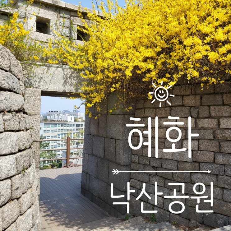  서울벚꽃명소 ::대학로 낙산공원:: 지금 그곳엔 벚꽃이 피었을까(4탄)