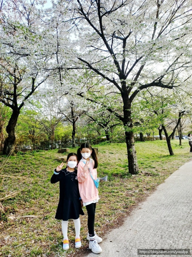 금오산벚꽃 다 지고 나서 가족나들이 다녀와 봤습니다 금오산벚꽃 다 지고 나서 가족나들이 다녀와 봤습니다