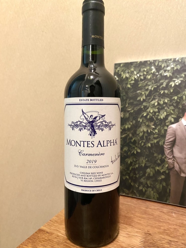 몬테스알파 카르메네르 2019 Montes Alpha Carmenere 까르미네르 코스트코 와인