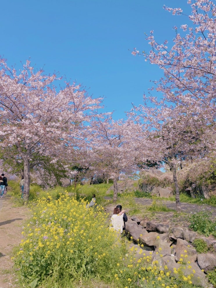  제주도 1박2일 여행기/ 바당길 / 소문난맛집 / 스타벅스 제주서해안로DT점 / 고우니제주를담다 / 애월바당국수 / 백년초핫도그 / 다운타우너 수제버거