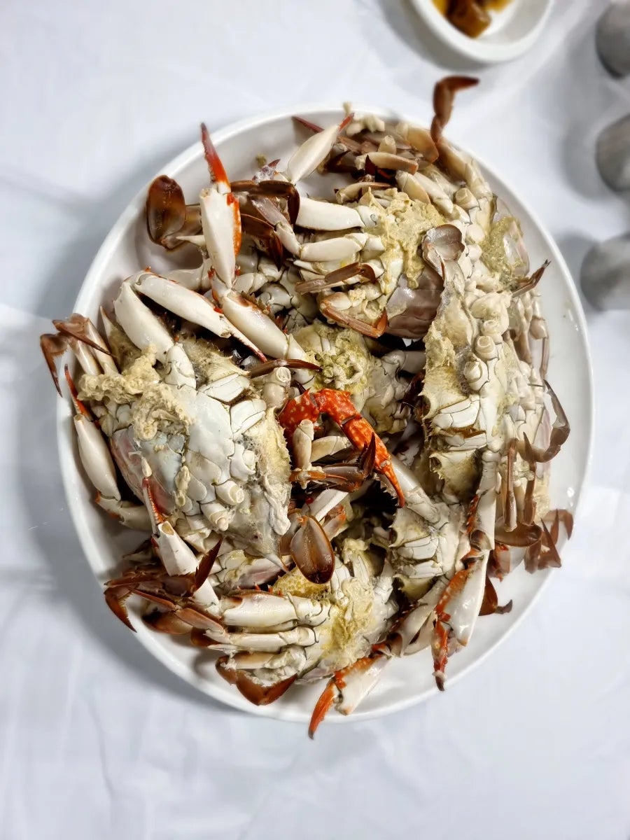 마도회타운 사진 1