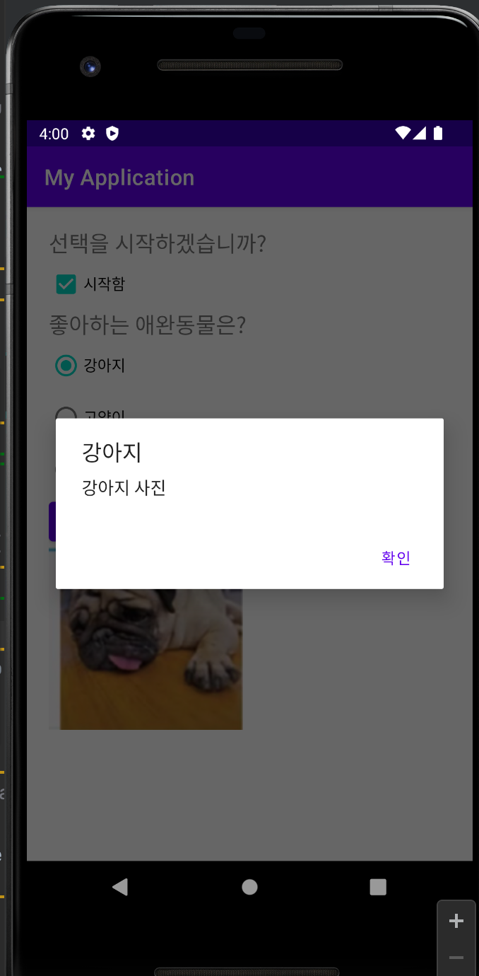  [Android] 체크, 라디오박스 클릭해서 동물 사진 띄우기 (작년 중간고사 2번)
