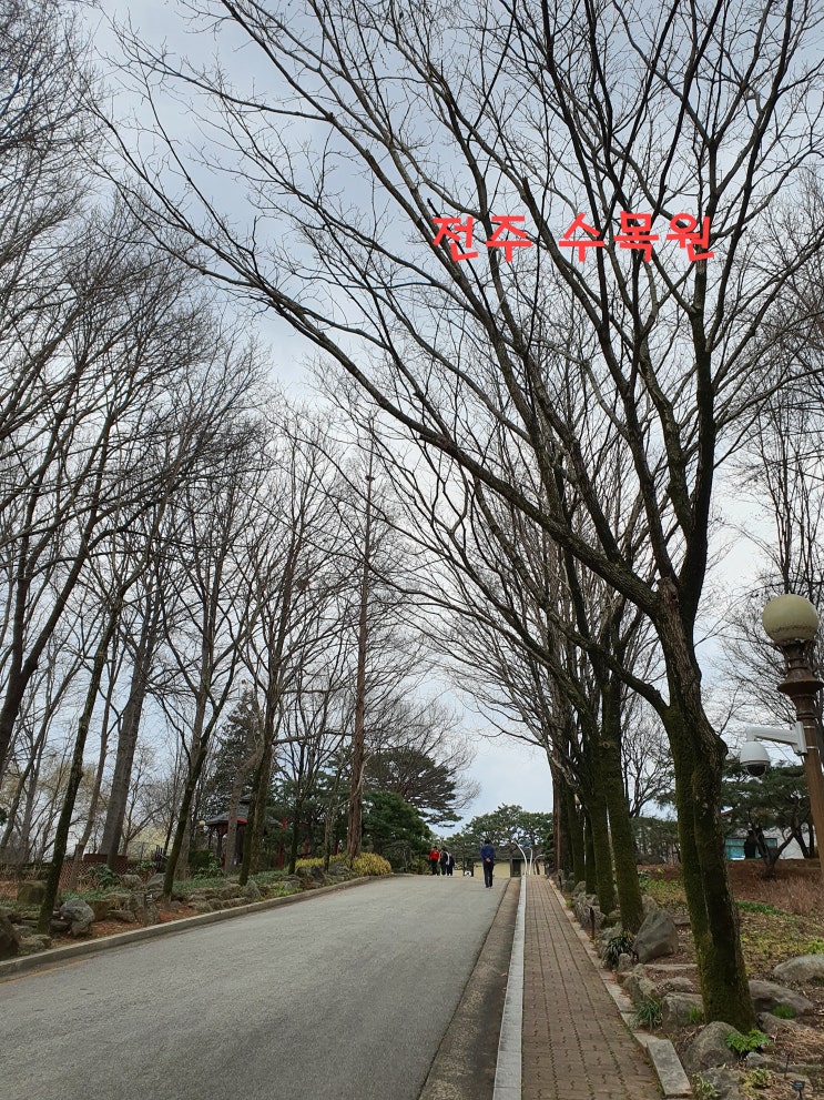  전주 수목원 가보셨나요?