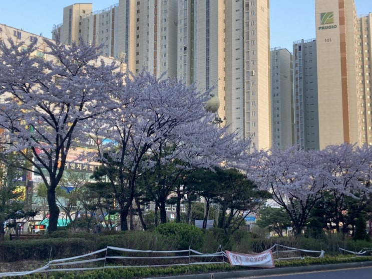  4월 둘째주