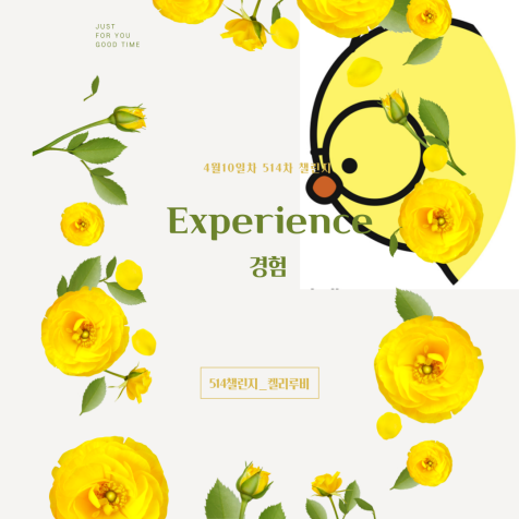  514챌린지 100일 | 경험