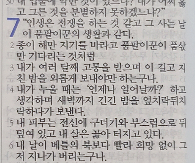 욥의 시련(욥기) 7장 욥의 시련(욥기) 7장