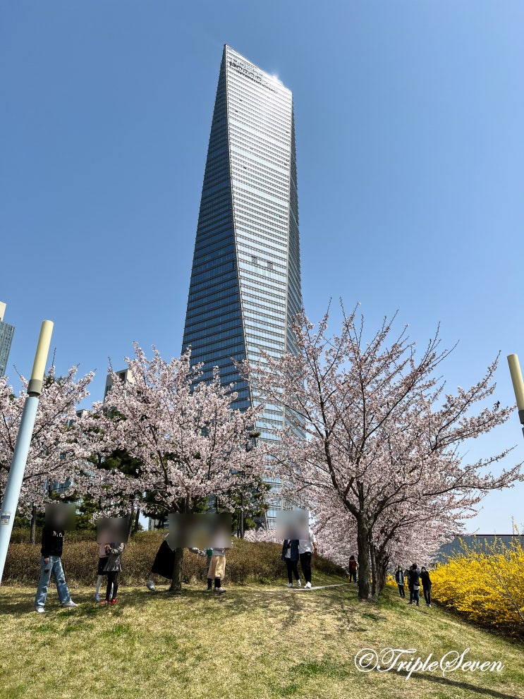 [후기] 송도 센트럴파크 벚꽃 나들이 후기! 아름다운 송도국제도시의 봄 풍경!