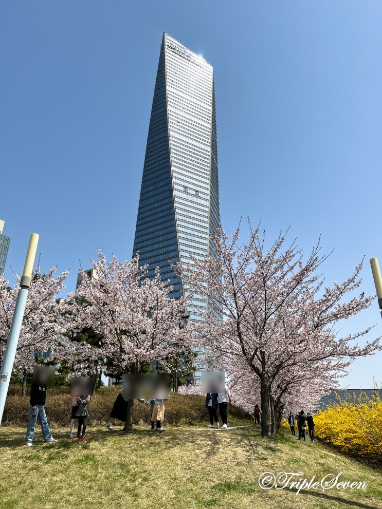  [후기] 송도 센트럴파크 벚꽃 나들이 후기! 아름다운 송도국제도시의 봄 풍경!