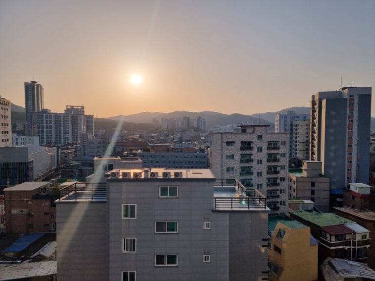  코로나 확진 후 격리 일상