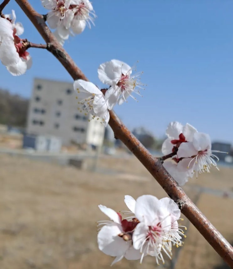  주말 산책 다녀왔는데 많이 덥네요