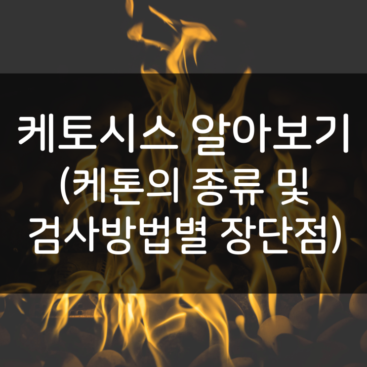  지방을 태우는 상태인 케토시스와 케톤체, 케톤검사 방법에 대해 알아보자
