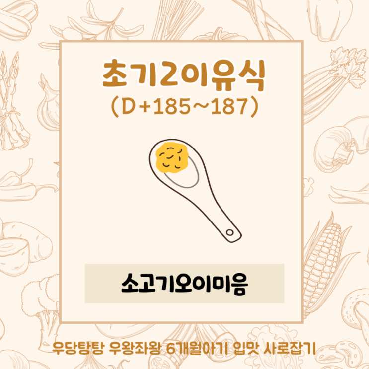  (D+185~187) 6개월아기 초기2이유식 소고기오이미음(토핑이유식/이유식큐브)