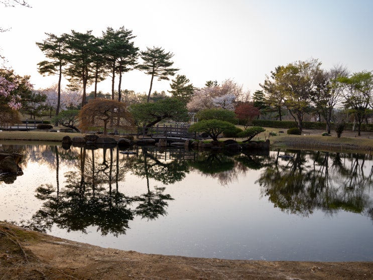  교원 드림센터 경주 임직원 할인 혜택 이용 후기