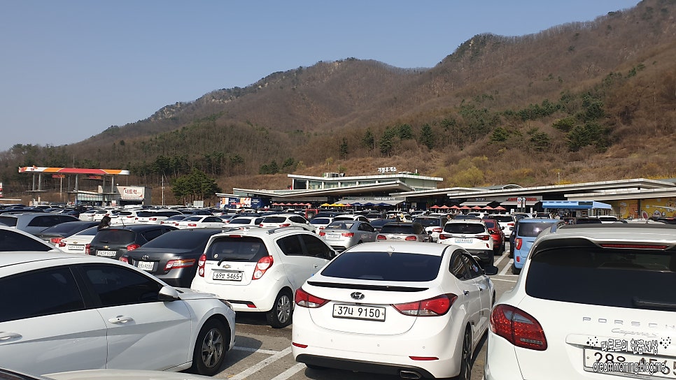 아호동민박 사진 3