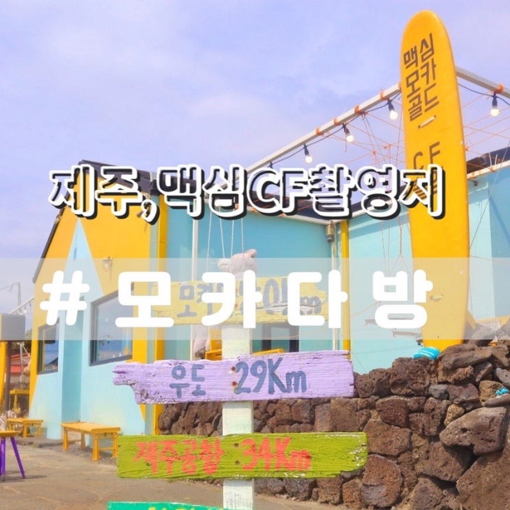 모카다방+푸근한곰아저씨 책방/ 맥심모카골드촬영지 서귀포가볼만한곳 추천