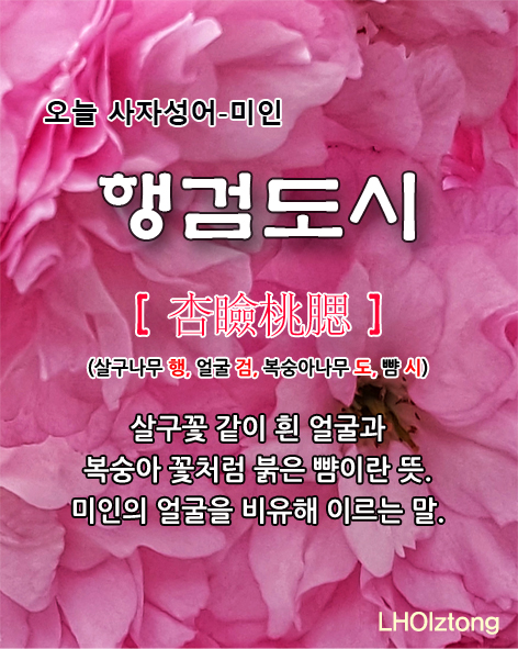  [831] 오늘 사자성어 행검도시(杏瞼桃腮)의 뜻은?