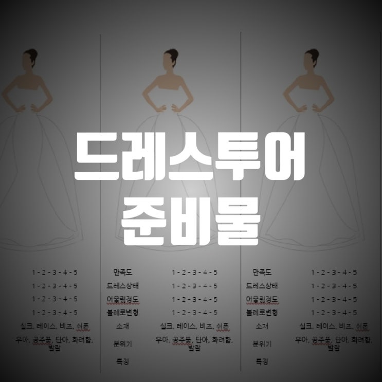  드레스 투어 준비물 (투명마스크부터 드레스도안 ppt 까지)