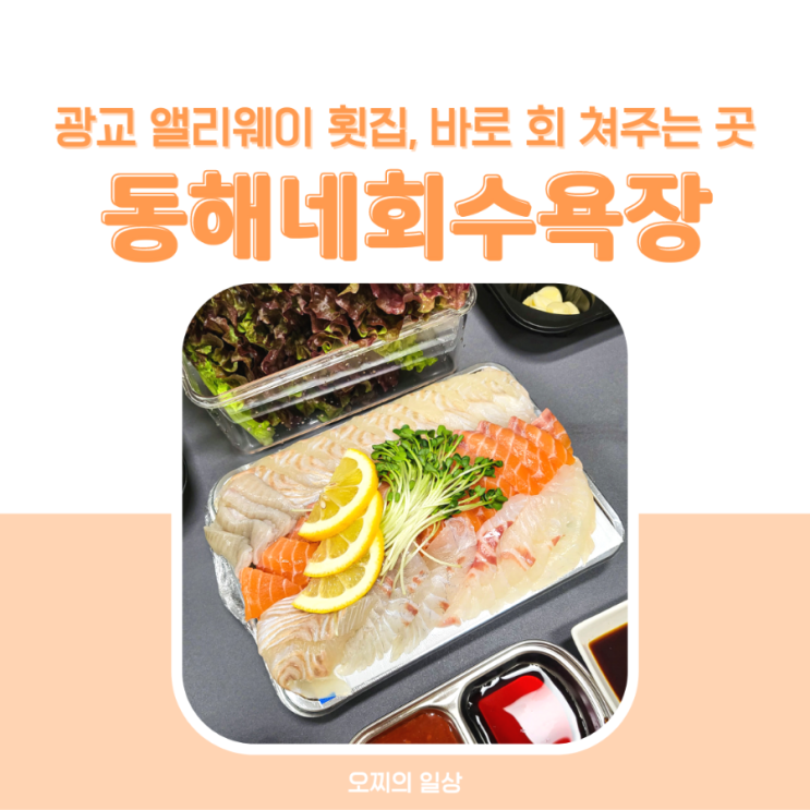  광교 횟집 동해네회수욕장, 제철모듬회 포장 후기