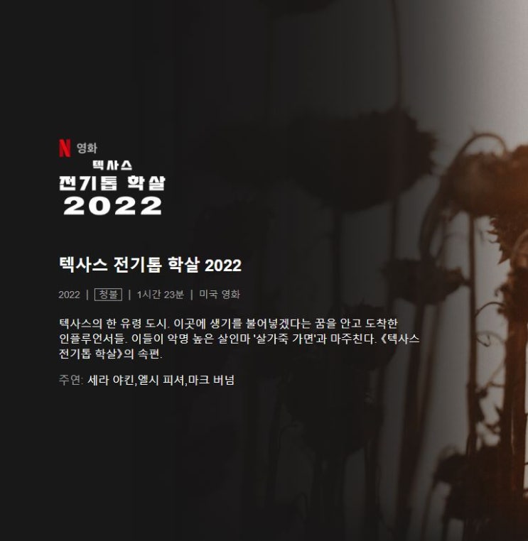  넷플릭스 오리지널 공포영화 텍사스 전기톱 학살 2022 정보 평점 리뷰