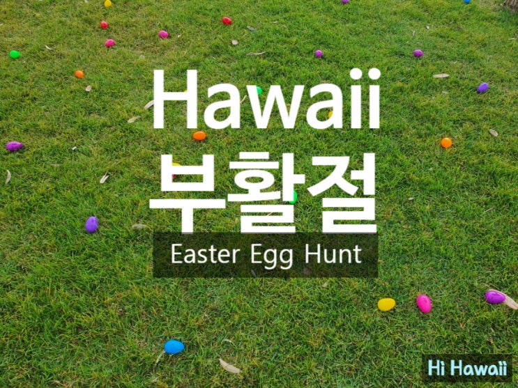 미국 하와이 부활절  에그헌트 & 코나 아이스_하와이 일상,(Easter 이스터)
