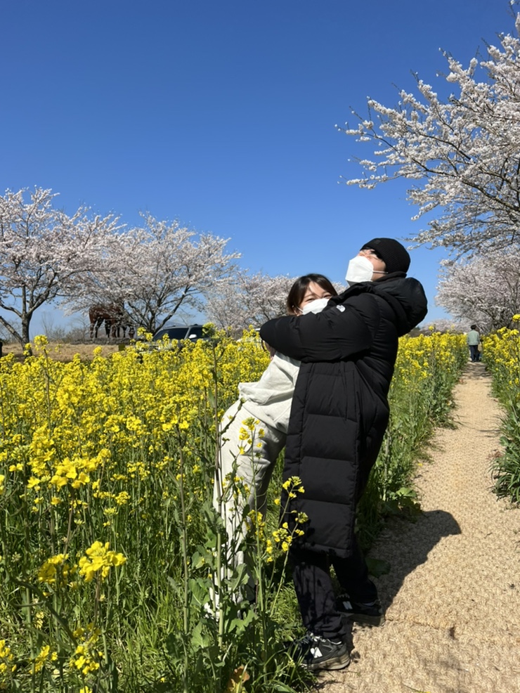  2박3일 제주 꽃놀이 