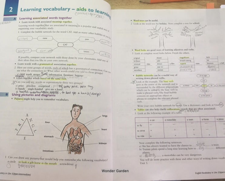  Vocabulary in Use 정리 100일  Day 2-3