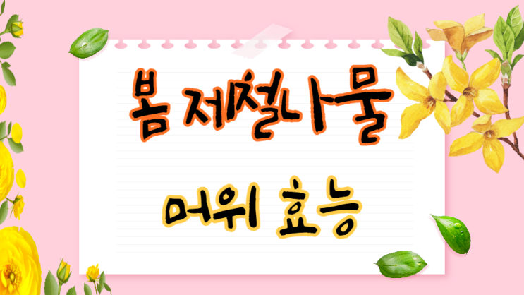 머위꽃 머위 효능 머위 뿌리 부작용 머위 먹는법 머위꽃 머위 효능 머위 뿌리 부작용 머위 먹는법