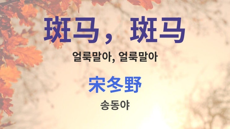  斑马，斑马 얼룩말아 - 宋冬野